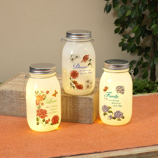 7 Inch Lighted Frosted Glass Jar -