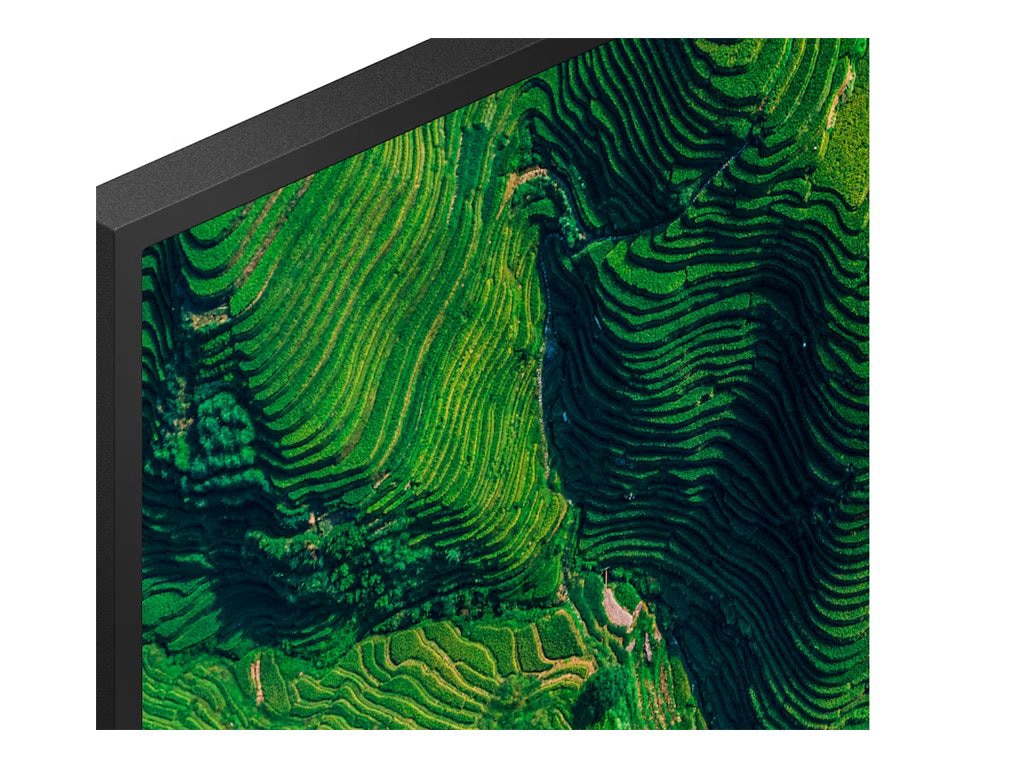 Sony 55in BRAVIA Professional Display with IP5X Rating