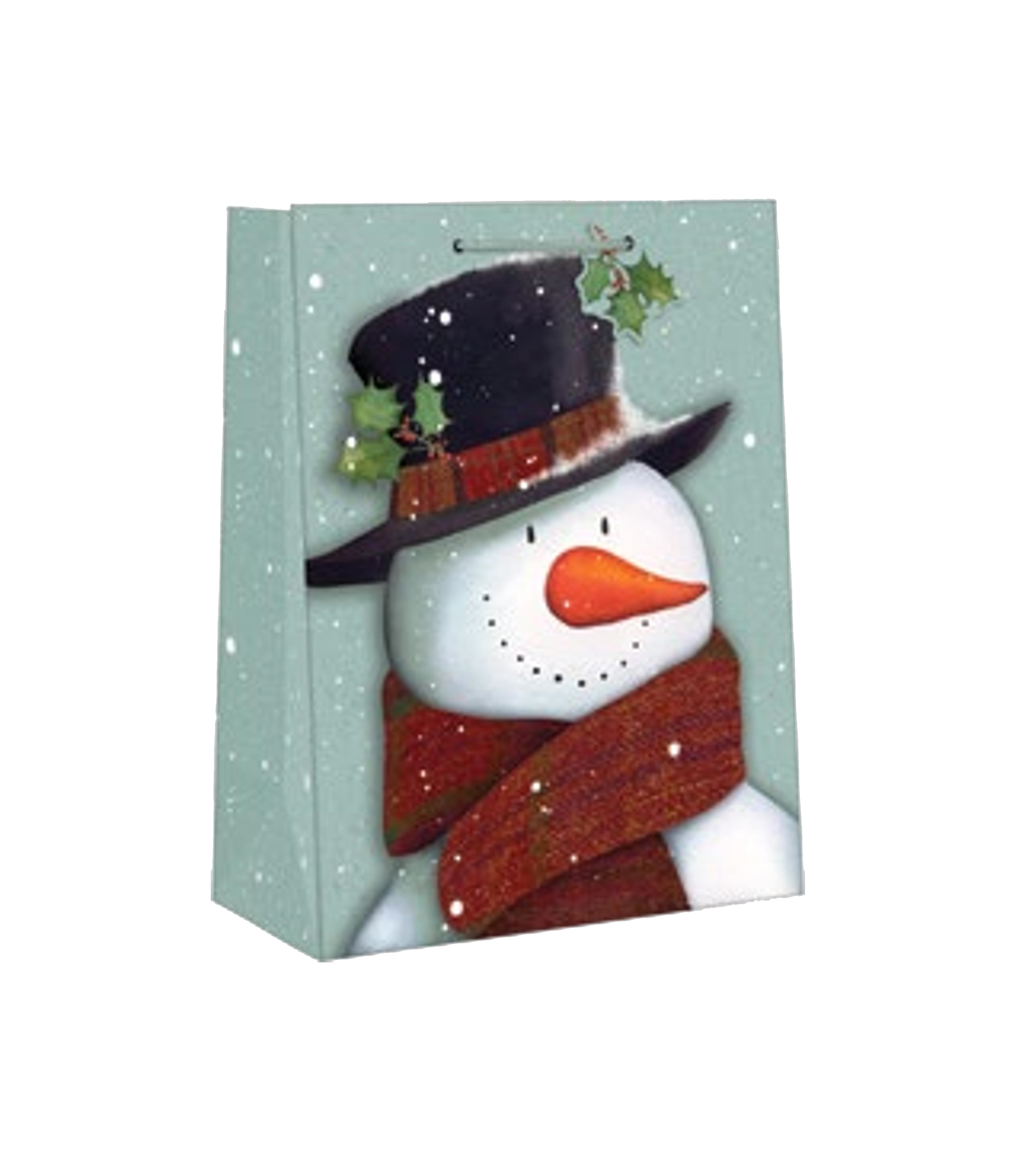 Accented Country Giftbag -