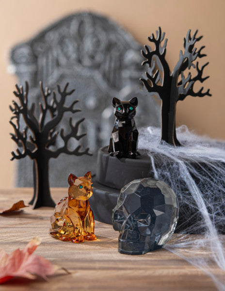 Acrylic Skull - Clear