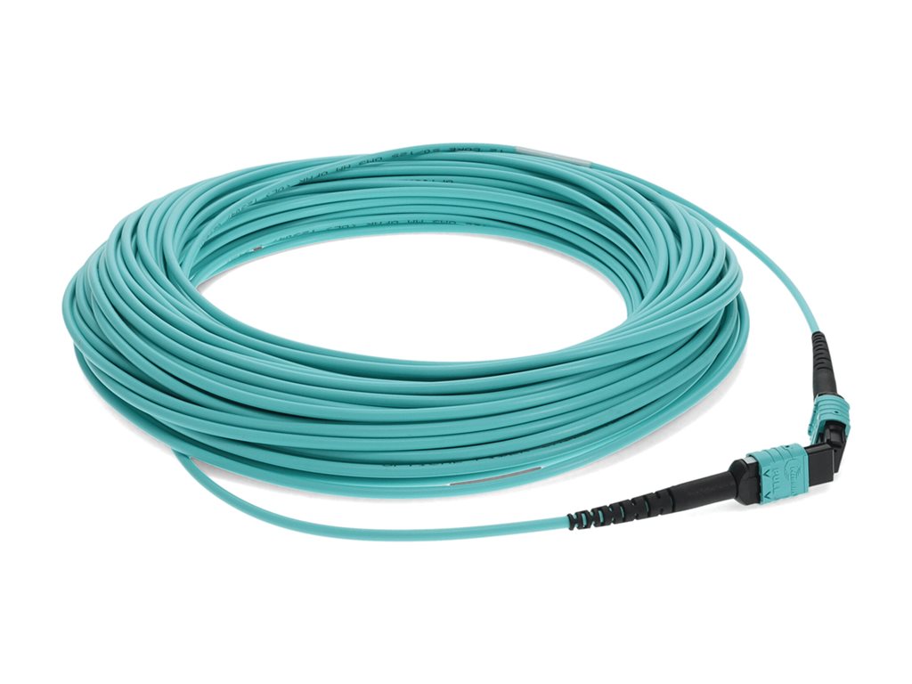 AddOn - Crossover cable - TAA Compliant - MPO/PC multi-mode (F) to MPO/PC multi-mode (F) - 17 m - fiber optic - 50 / 125