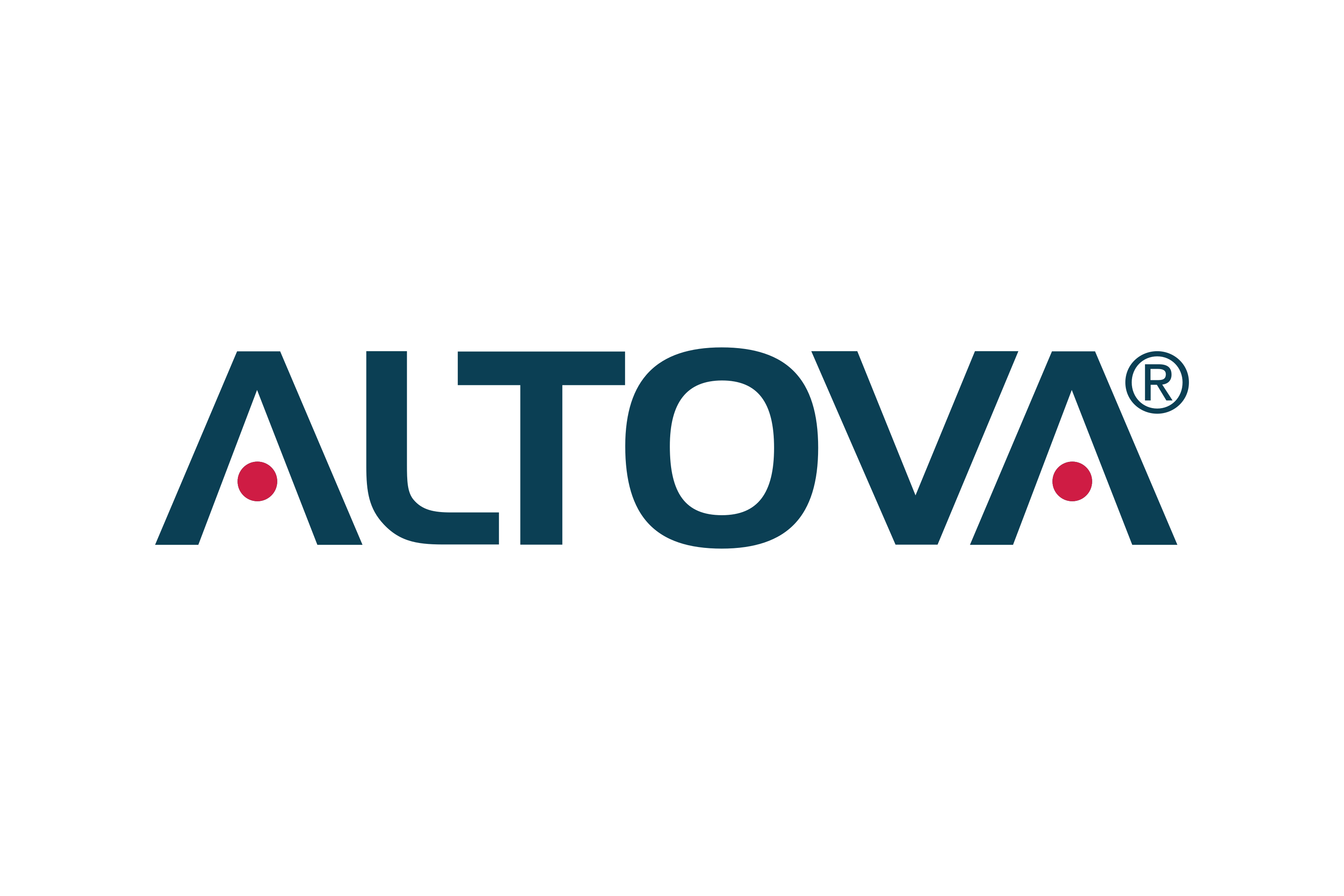 Altova XMLSpy 2026 Professional Edition - 1 Year SMP