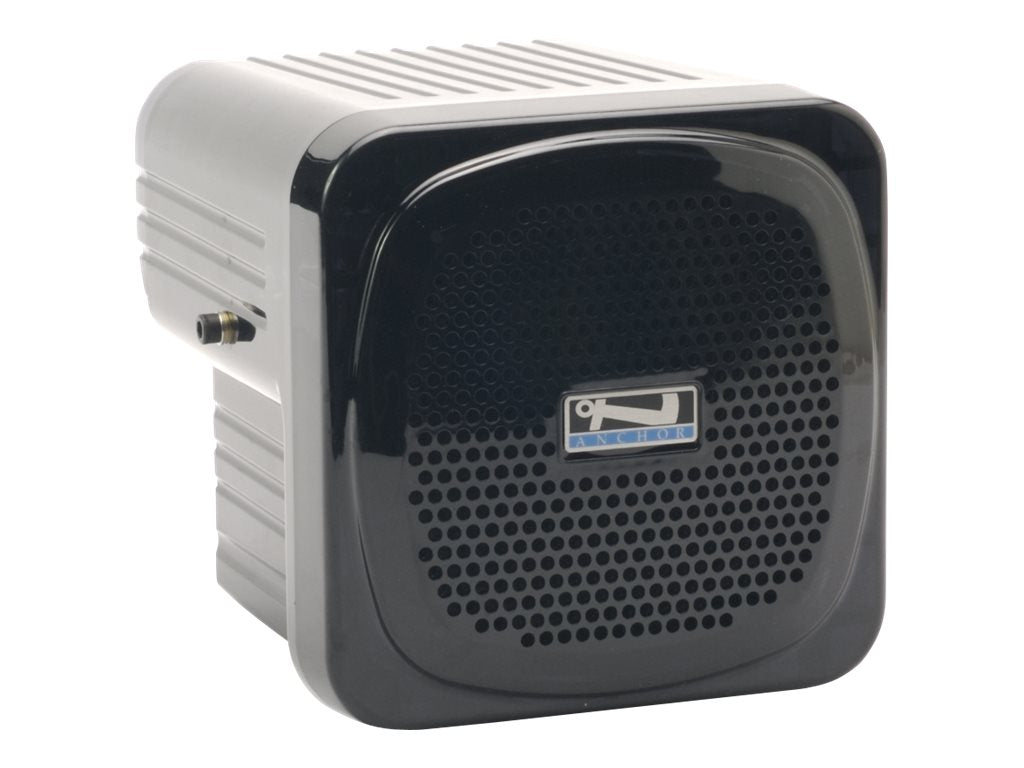 Anchor Audio TDSourcing AN-30 - Monitor speaker - 30 Watt