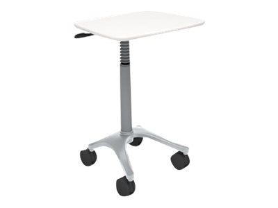 Anthro Zido EHR - Cart - for notebook / tablet - metal, wood - cool gray
