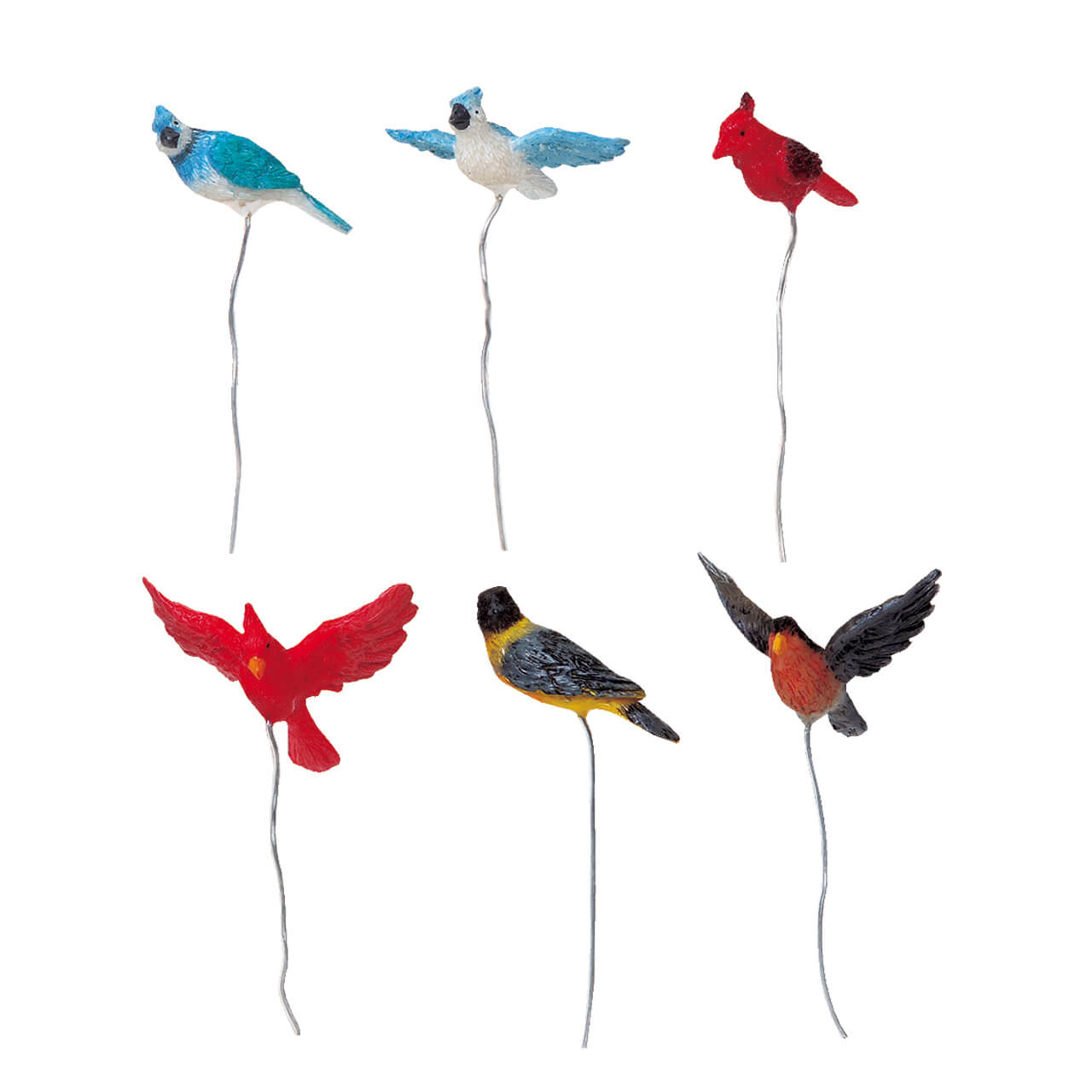 Assorted Birds - Set Of 6