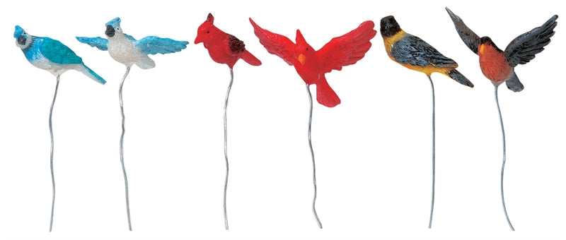 Assorted Birds - Set Of 6