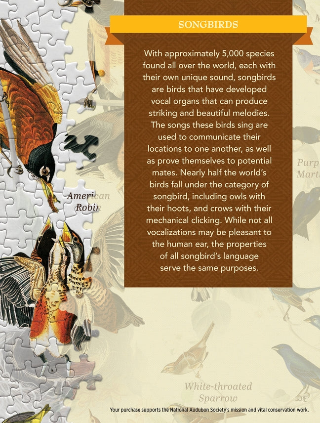 Audubon - Songbirds 1000 Piece Puzzle