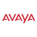 Avaya Blue PASS Base Parts 4 HR - SLN EJ9