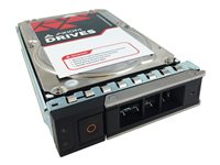 Axiom 20TB 12Gb/s SAS 7.2K RPM Hot-Swap HDD for Dell Servers