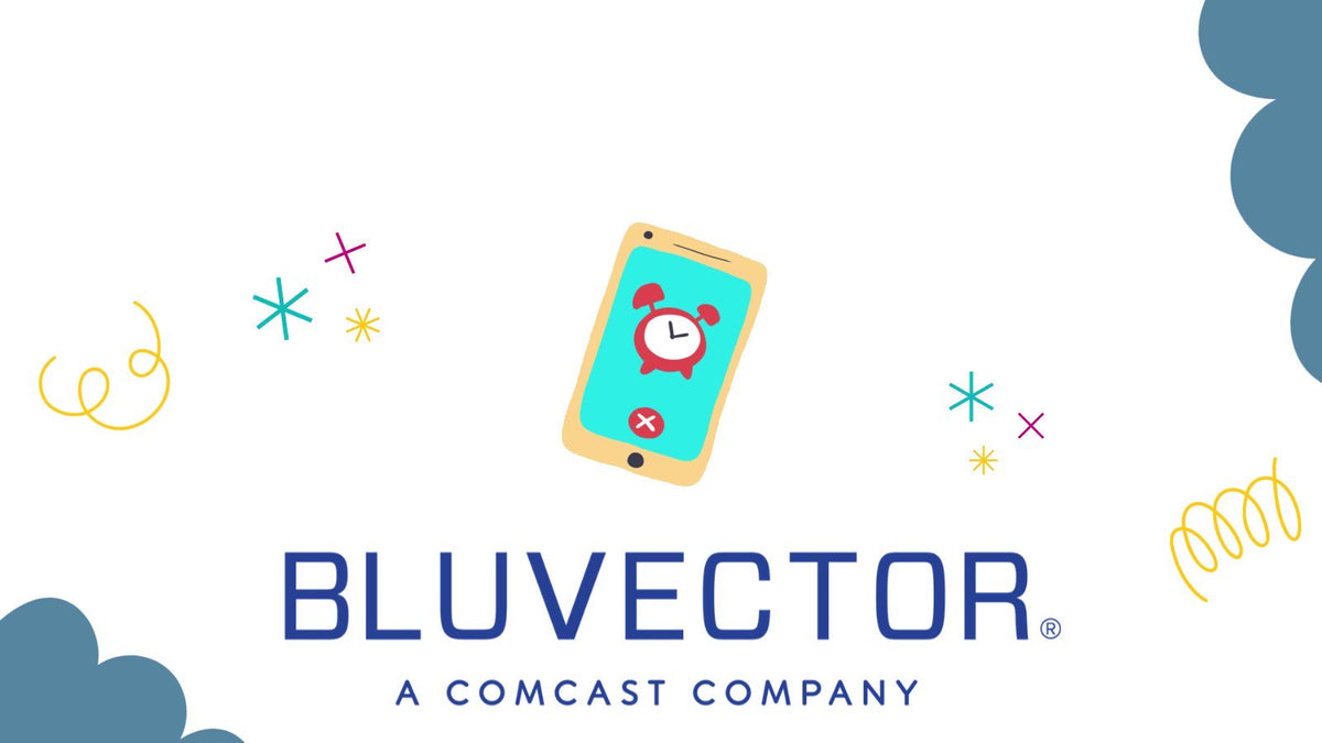 BLUVECTOR 3 Year 5Gbps Subscription