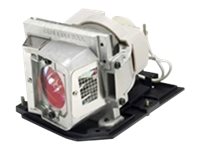 BTI Projector Lamp 330-9847-BTI
