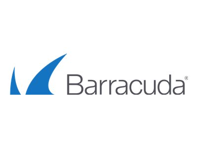 Barracuda Web Security Gateway 810b - Security appliance - 10GbE - 2U - rack-mountable BYF810B