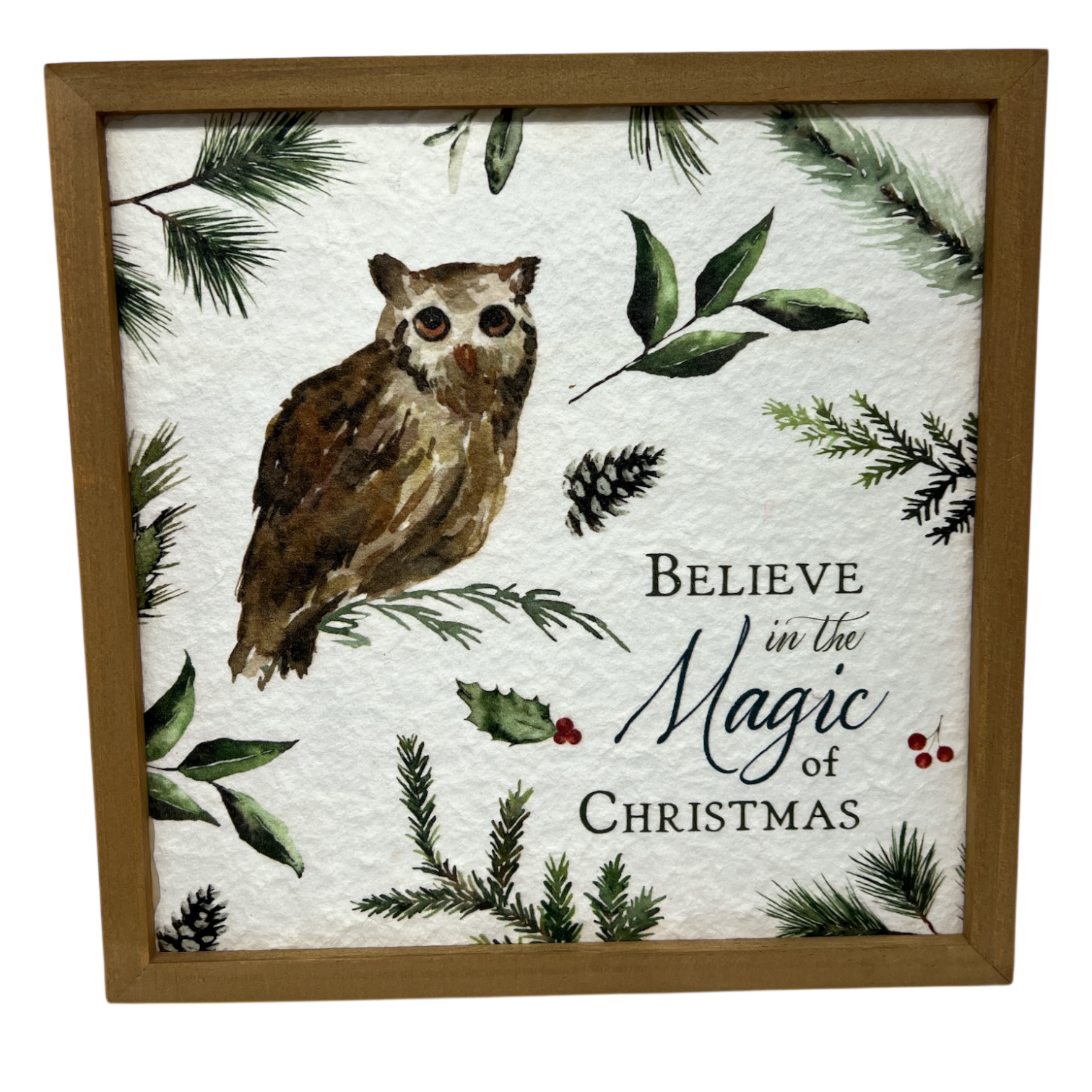 Believe In The Magic of Christmas Print