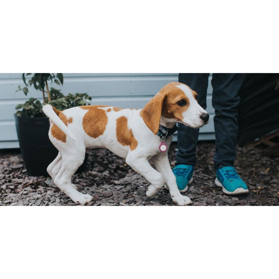 Belkin F8W973Btpnk Key Finder Case Pink