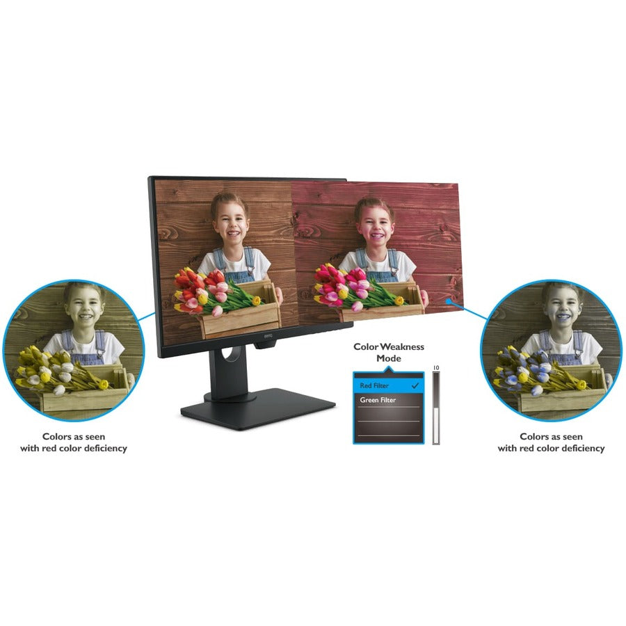 BenQ GW2480T 24 Class Full HD LCD Monitor - 16:9 - Black"