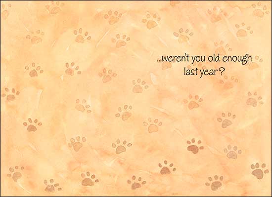 Birthday Card - Another Birthday Cat