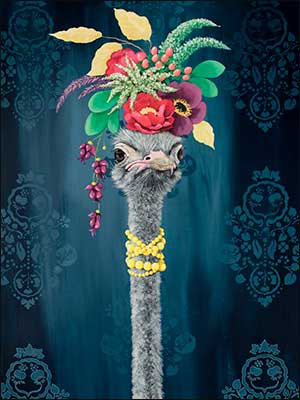 Birthday Card - Fabulously Fun