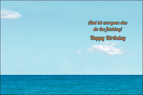 Birthday Card -Let Everyone Else Do The Fetching