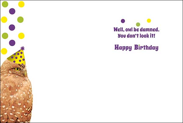 Birthday Card - Owl You're How Old