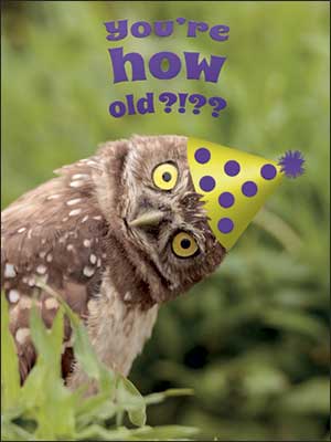 Birthday Card - Owl You're How Old