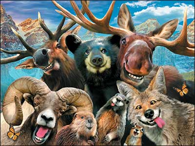 Birthday Card - Rocky Mountain Selfie