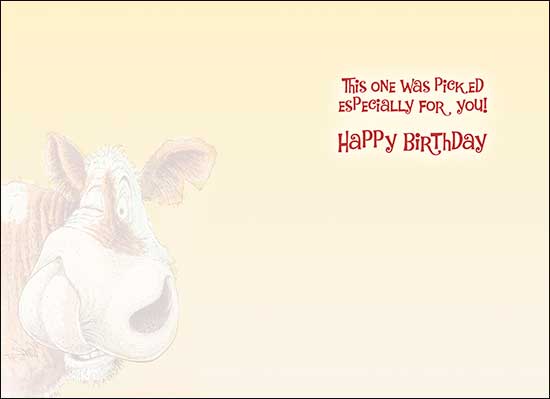 Birthday Card - Salt Lick