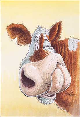 Birthday Card - Salt Lick