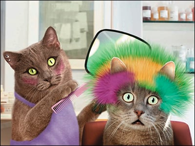 Birthday Card - Stylin