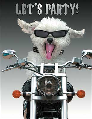 Birthday Card - Unleash Your Wild Side