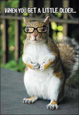 Birthday Card - When You Get A Little Older Squirrel
