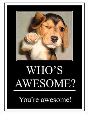 Birthday Card - Who's Awesome