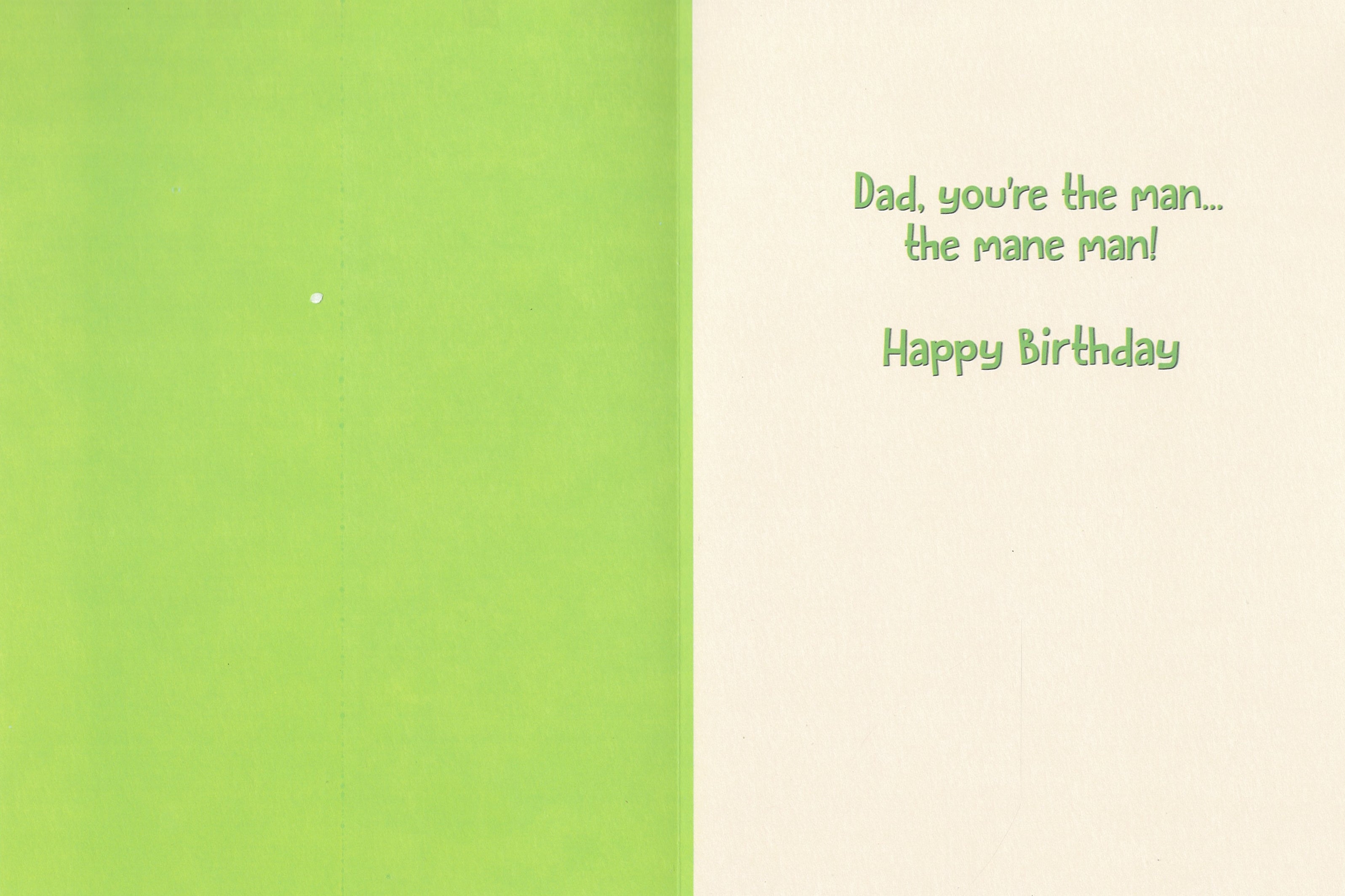 Birthday Card - You're The Mane Man Dad