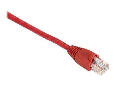 Black Box GigaBase 350 Cat.5e UTP Patch Cable EVNSL83-0015
