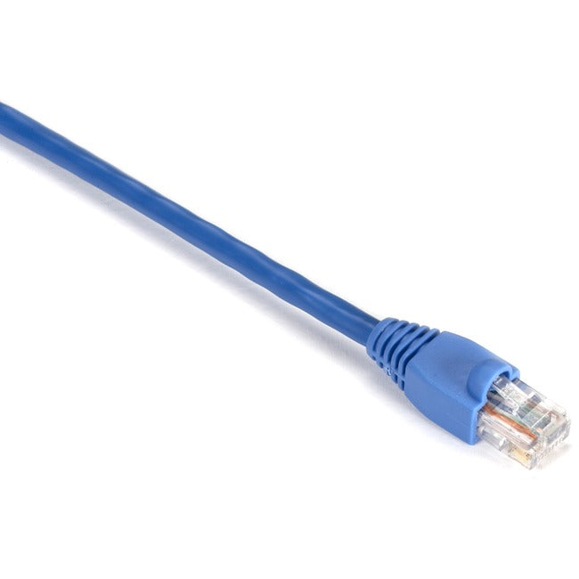 Black Box Gigabase Cat. 5E UTP Patch Cable EVNSL81-0001