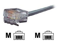 Black Box Modular Straight-Pinning - Phone cable - RJ-11 (M) to RJ-11 (M) - 50 ft - stranded - gray EL04MS-MM-50