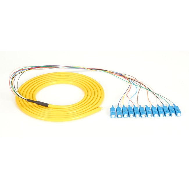 Black Box OS1 Single-Mode Fiber Optic Pigtail, 12-Strand, SC, Yellow, 3-m (9.8-ft) FOPT50S1-SC-12YL-3