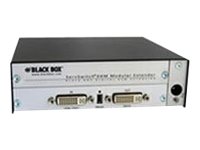 Black Box VGA/DVI to DVI-D Converter - Video converter - DVI - DVI - TAA Compliant