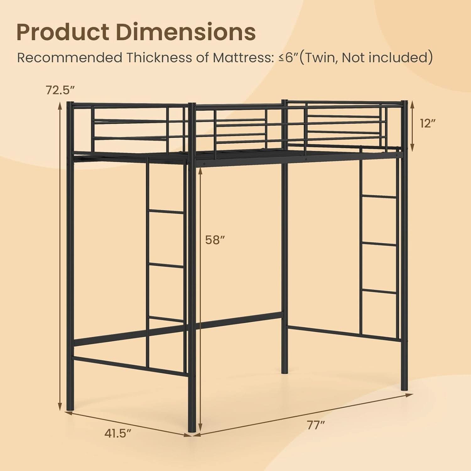 Black Twin Loft Bed With Dual Ladders For Juniors And Teens