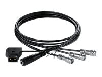 Blackmagic - Power cable kit - for Blackmagic Pocket Cinema Camera 4K CABLE-CCPOC4K/DC