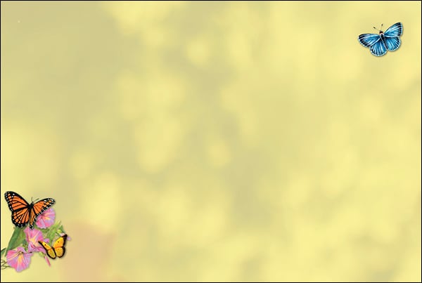 Blank Card - Bird On The Fence