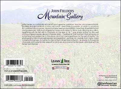 Blank Card - Mountain Gallery