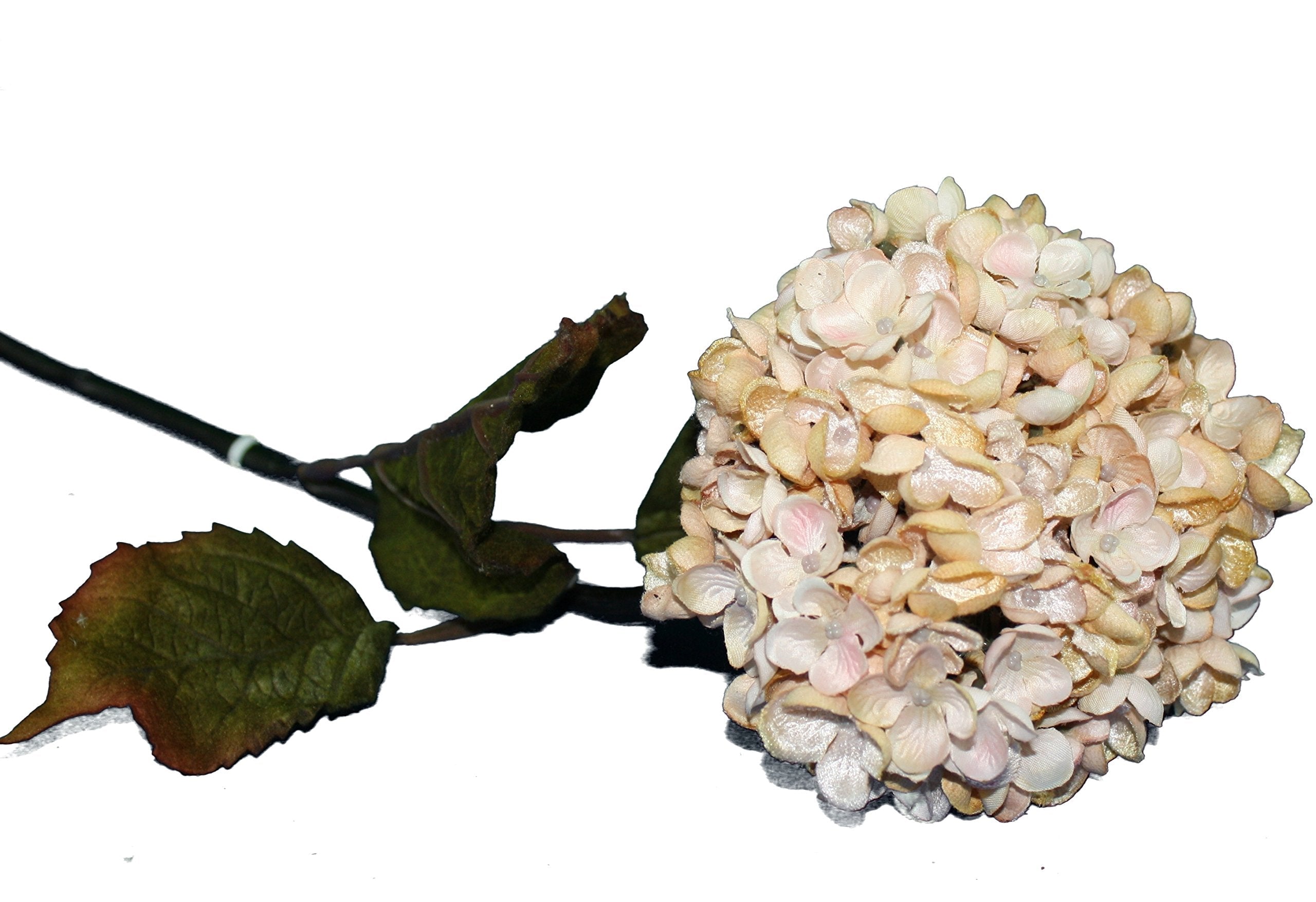 Blush Hydrangea - Pink