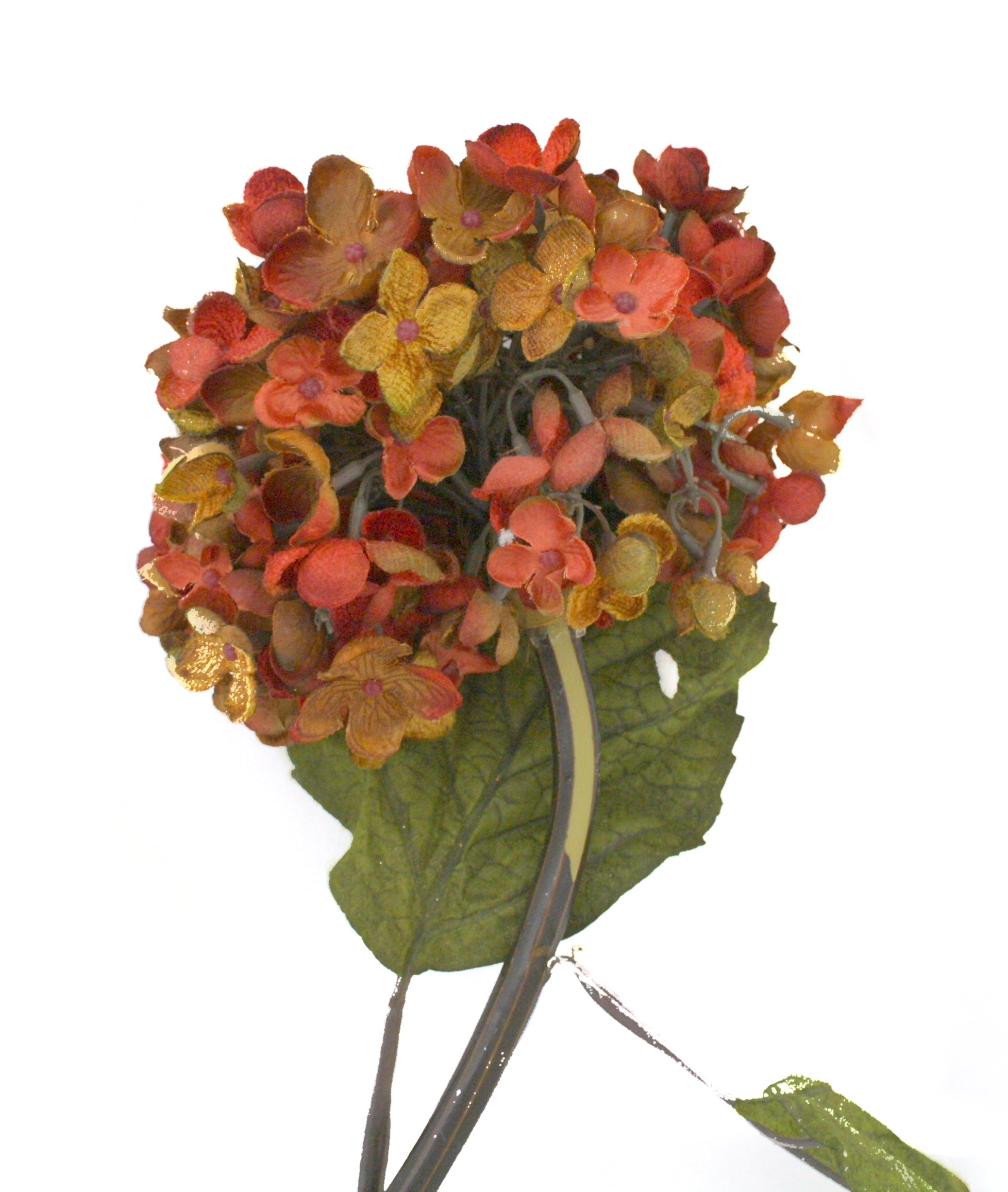 Blush Hydrangea - Red