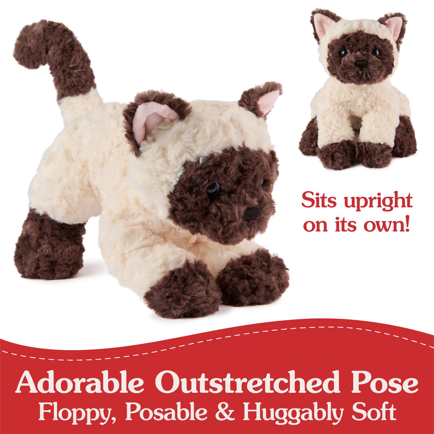 Bootsie Siamese Kitten