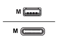 Bretford - USB cable - USB (M) to 24 pin USB-C (M) - 1 ft (pack of 10) HNQ72BG1