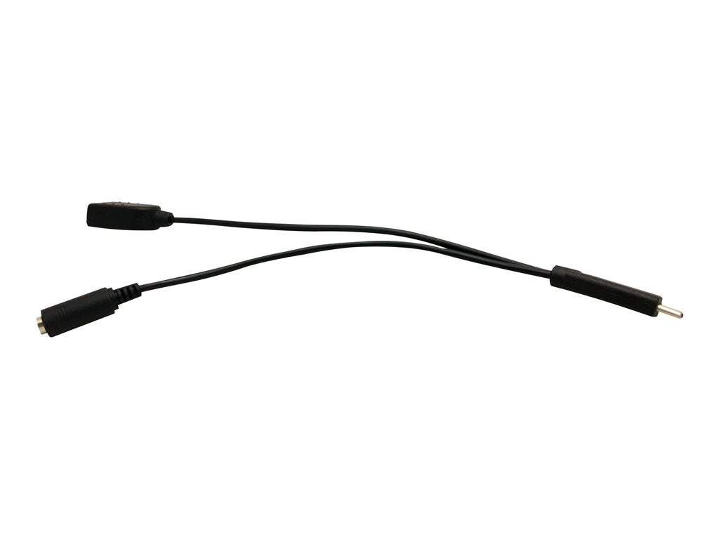 BrightSign - Serial cable - 24 pin USB-C male to USB, mini jack female CBL-USBC TO USBA AND 3.5MM SERIAL