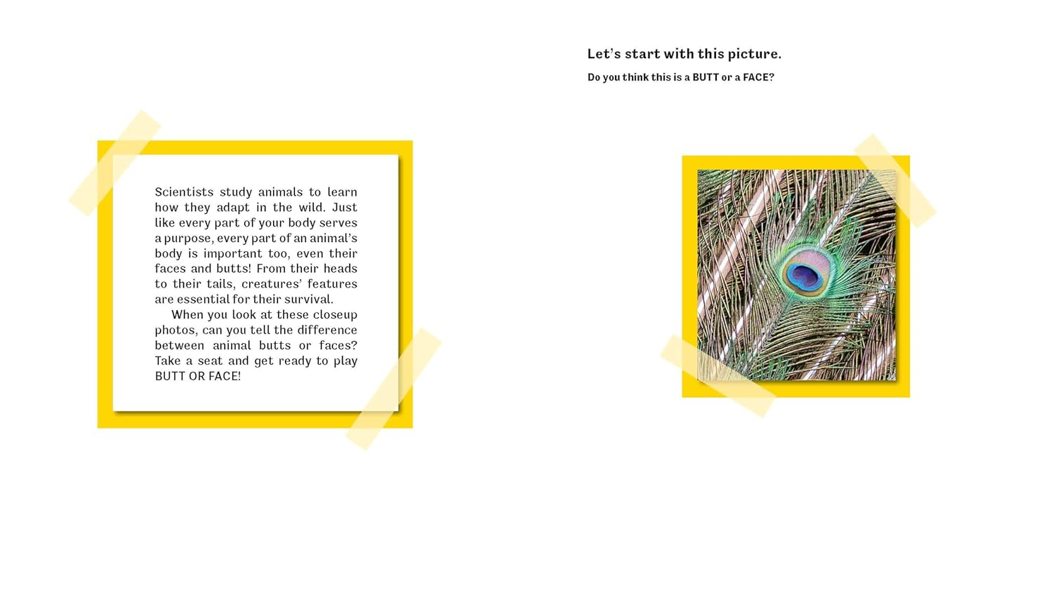 Butt or Face? Volume 2: Revenge of the Butts Hardcover – Picture Book