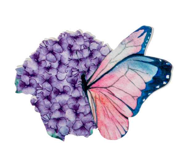 Butterfly Screen Saver -