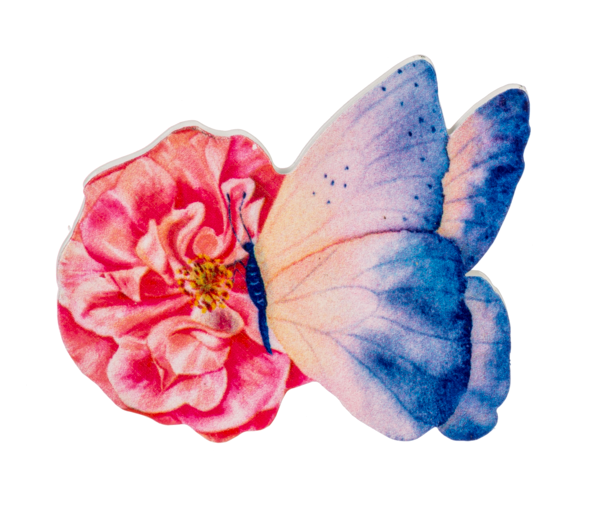 Butterfly Screen Saver -