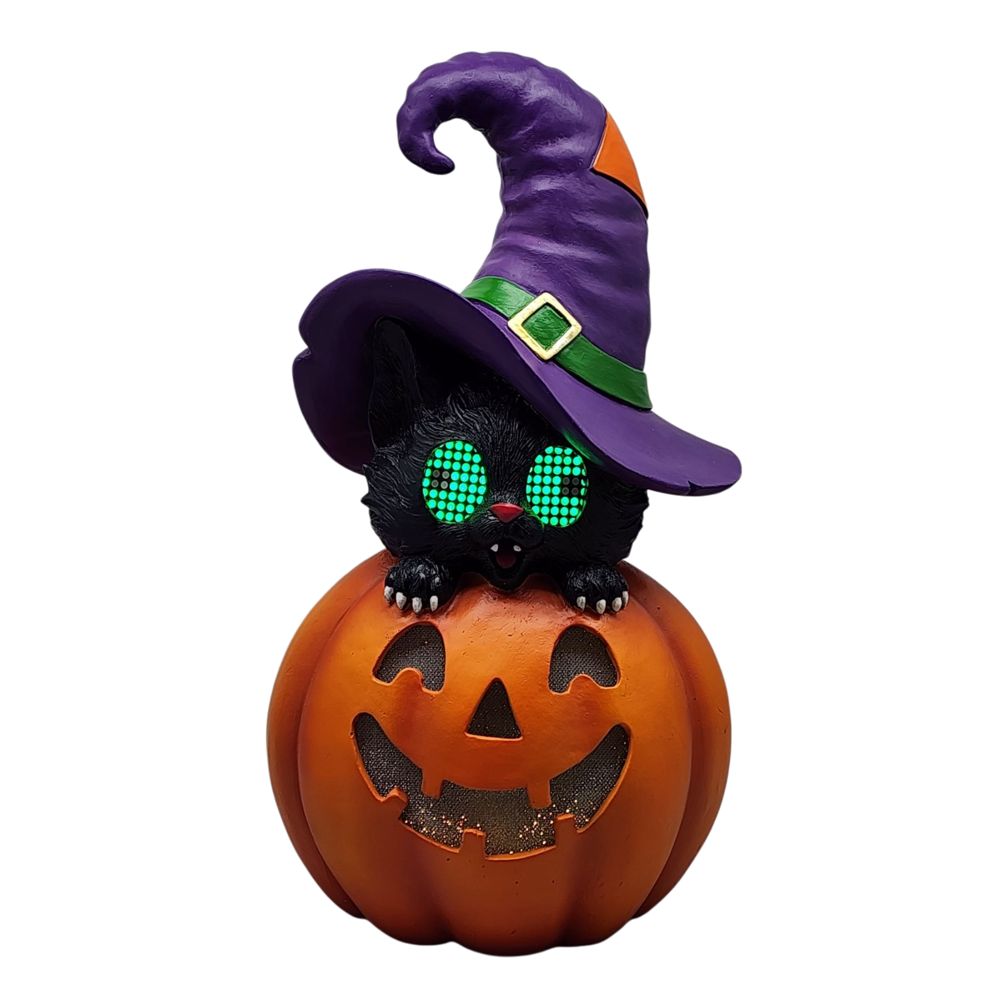 Cat On Pumpkin With Moving Digital Eyes